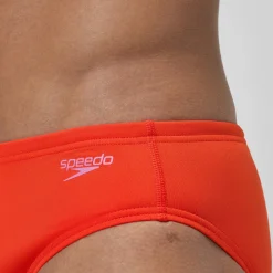 Solid One Brief
