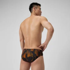 Space Train Brief